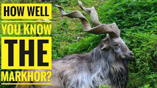 Markhor  Description Characteristics and Facts [upl. by Aiseneg]