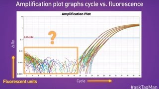 Baselines in RealTime PCR  Ask TaqMan® Ep 5 [upl. by Inej]