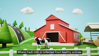 How does Safe UHT Milk reach your table [upl. by Nanice]