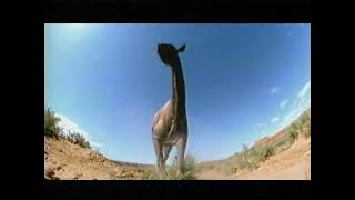 Walking with prehistoric beasts discovery channel promo [upl. by Bassett647]