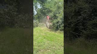 FAE Forestry Mulcher  Clearing Property Line [upl. by Neyuq177]