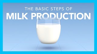 The basic steps of milk production [upl. by Rabbi671]