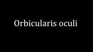 How to pronounce Orbicularis oculi [upl. by Aneala476]