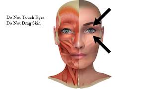 Orbicularis Oculi  Massage Anatomy [upl. by Broome]