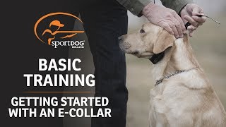 Basic Training  Getting Started with an ECollar [upl. by Gerardo887]