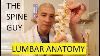 How to Read a Lumbar MRI [upl. by Piotr174]