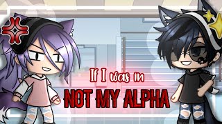 ✧If I was in “Not My Alpha”✧  GLMM [upl. by Aisan]