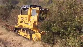 T360 Forestry Mulcher [upl. by Anelagna]