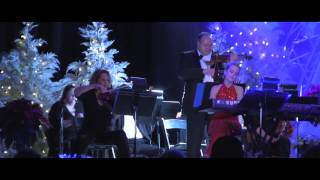 Silent Night  Mannheim Steamroller [upl. by Animrelliug]