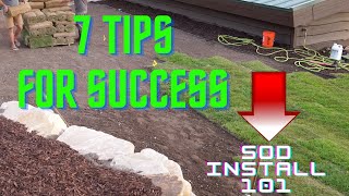 HOW TO LAY SOD PROPERLY Sod Laying FROM start to FINISH [upl. by Alathia]