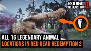 ALL 16 Legendary Animal Locations in Red Dead Redemption 2 [upl. by Wills454]