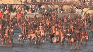 Best of Allahabad Kumbh mela  Worlds largest religious gathering [upl. by Edialeda]