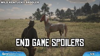 Red Dead Redemption 2  All Wild Horse Breed Locations Guide Horseman 10 Challenge [upl. by Teyugn]