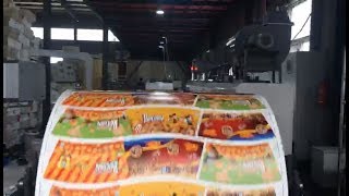 Flexo Printing Machine Price  Flexographic Printing Machine Manufacturers [upl. by Pucida21]