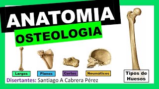 ▌ANATOMÍA ▌OSTEOLOGIA ▌ TIPOS DE HUESOS Y CLASIFICACIÓN ▌💀 [upl. by Kotto]