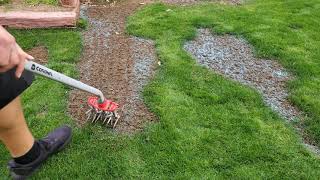 Reseeding Some Bare Spots  DIY Lawn Guy [upl. by Iruyas]