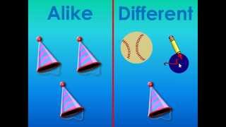 What Are Alike and Different [upl. by Topping]