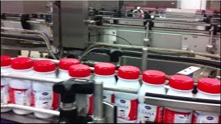 UHT Milk 250 ml bottle DANA Brand France  Dana Dairy Group [upl. by Gnaw]