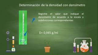 Densidad utilizando densímetro [upl. by Denys]