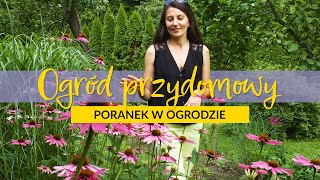 🌱Ogród przydomowy 🌞  Poranek w ogrodzie odc 7 [upl. by Toile582]