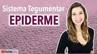 Epiderme Sistema Tegumentar 24  Anatomia etc [upl. by Rebah]