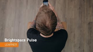 Brightspace Pulse  Navigation  Learner [upl. by Lizzy815]