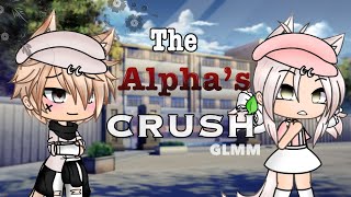 The Alpha’s Crush Gacha Life GLMM [upl. by Suilenroc398]