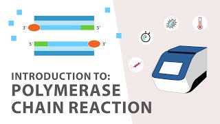 1 PCR Polymerase Chain Reaction Tutorial  An Introduction [upl. by Erbua199]