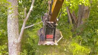 Mini Excavator Disc Mulcher in Action  Rut Mfg [upl. by Krefetz332]