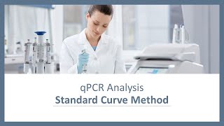 qPCR Analysis  Standard Curve Method [upl. by Adnaluy]