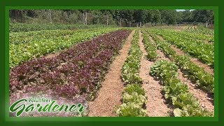 Biodynamic vs Organic Farming Practices  Volunteer Gardener [upl. by Leiser]