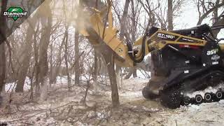 SkidSteer Forestry Disc Mulcher  Diamond Mowers  Stronger Simplified [upl. by Euphemiah389]