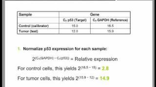 Real Time QPCR Data Analysis Tutorial part 2 [upl. by Sellma]