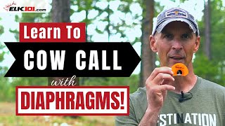 How to Cow Call with Diaphragm Elk Calls [upl. by Nnylsoj]