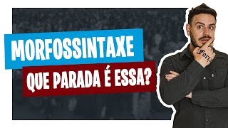 O QUE É MORFOSSINTAXE Pablo Jamilk [upl. by Valiant]