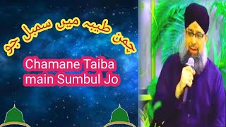 chamane Taiba Main Sumbul Jo Sunni Tv [upl. by Izzy]