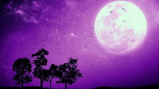 NO MORE Insomnia  DEEP Sleep Music with Relaxing Rain 30Hz Delta Waves Binaural Beats [upl. by Jenkel]