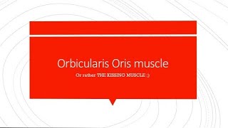 Orbicularis Oris  Simple and Easy [upl. by Melissa506]