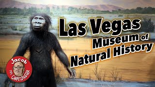 Las Vegas Natural History Museum [upl. by Nauqit]