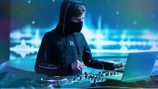 mix musica electrónica 2020 musica para navidad mix Alan walker [upl. by Adnuhs]